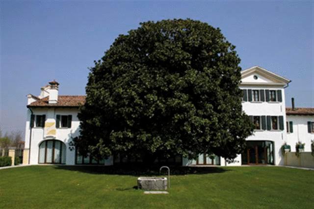 Villa Agriturismo Fossa Mala Fiume Veneto Exterior foto